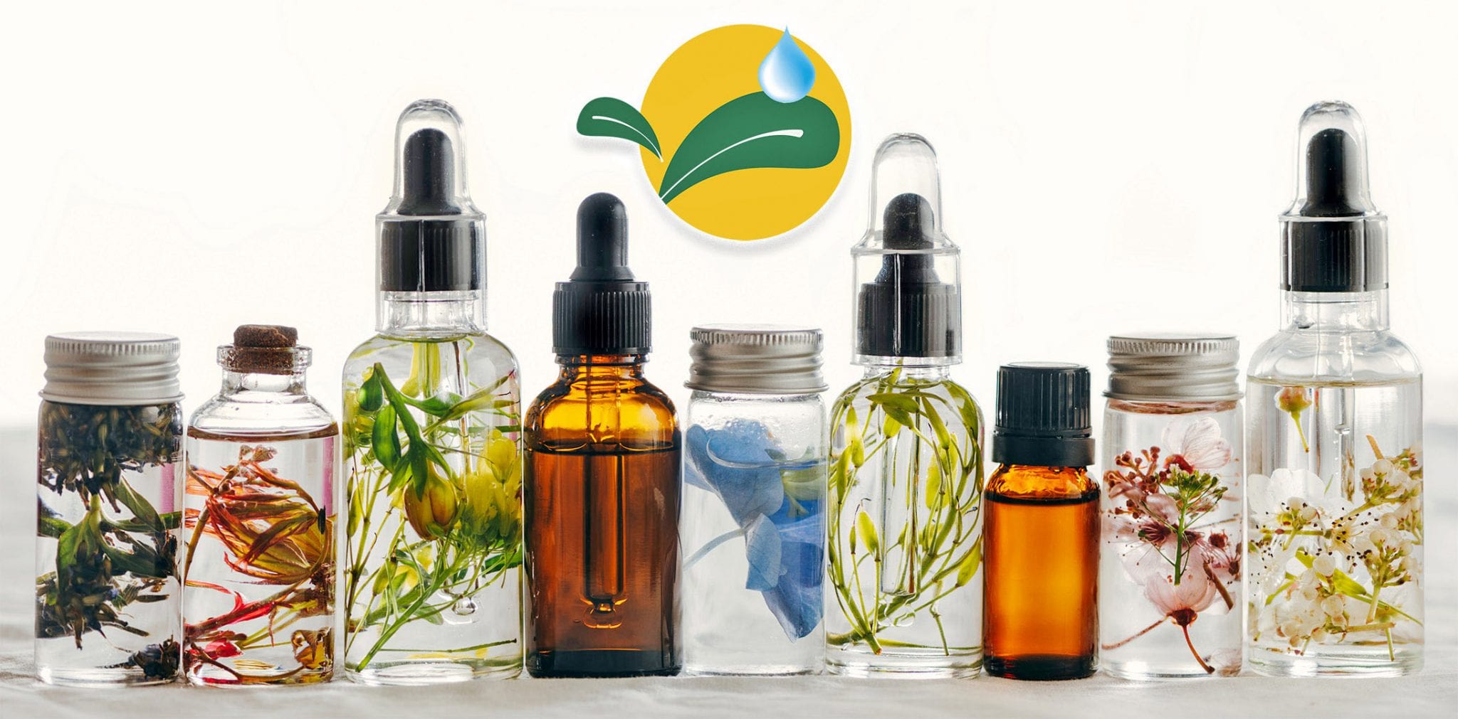 Understanding Essential Oils