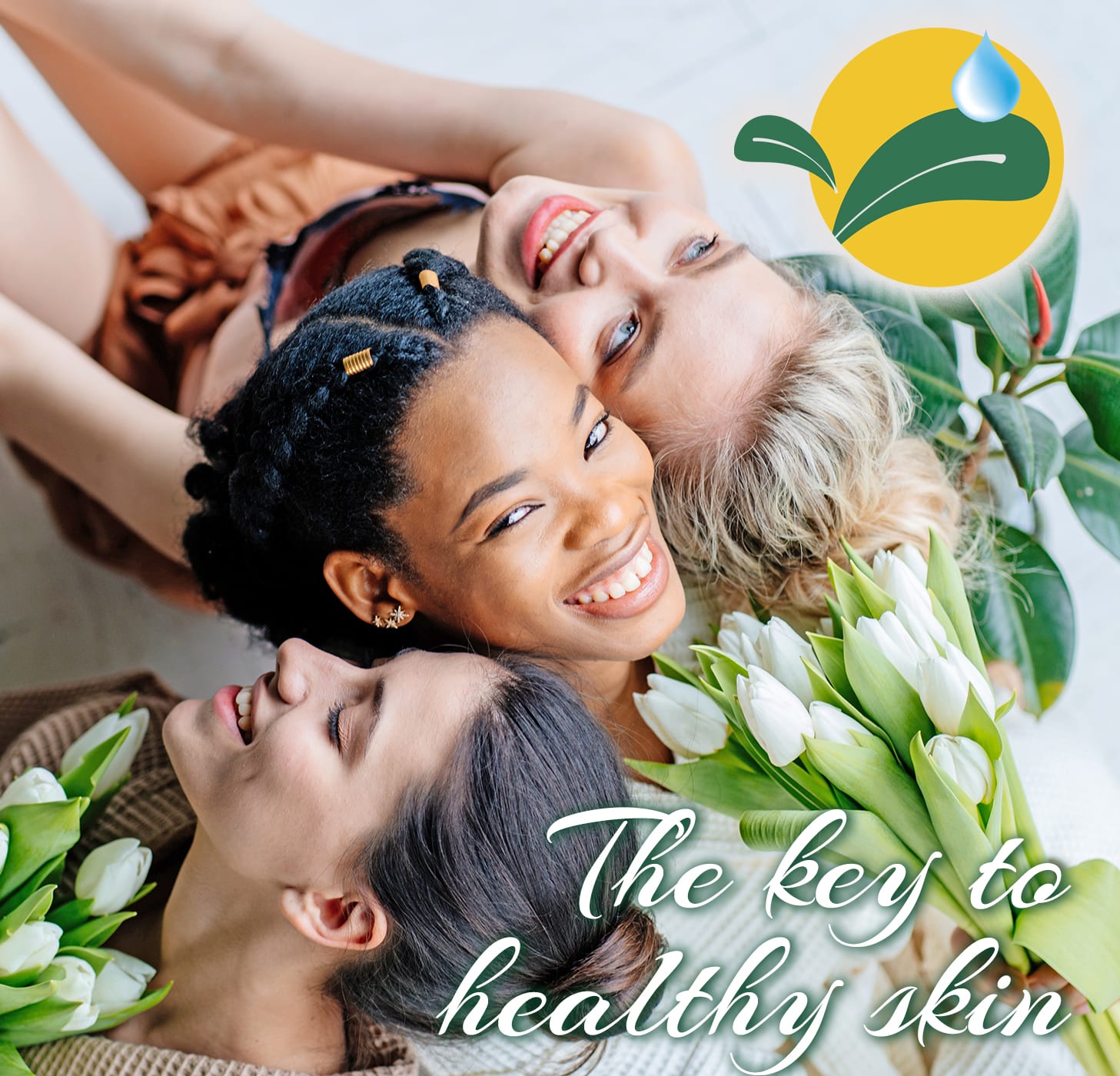 Your Environment and Your Skin