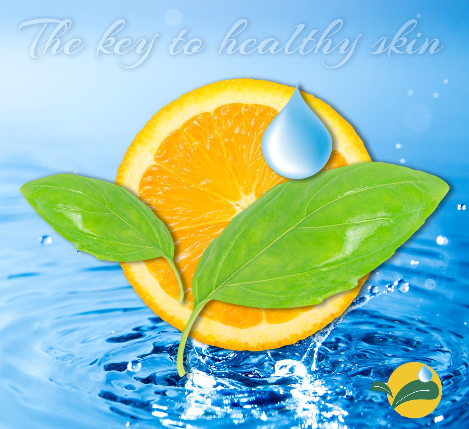 Look for this Powerful Ingredient!